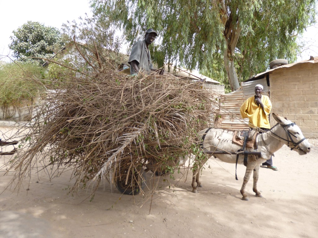 Gambia-March2012-449-1024×768